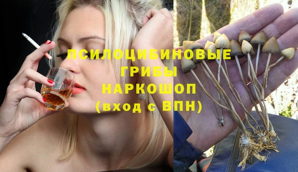 а пвп мука Абаза
