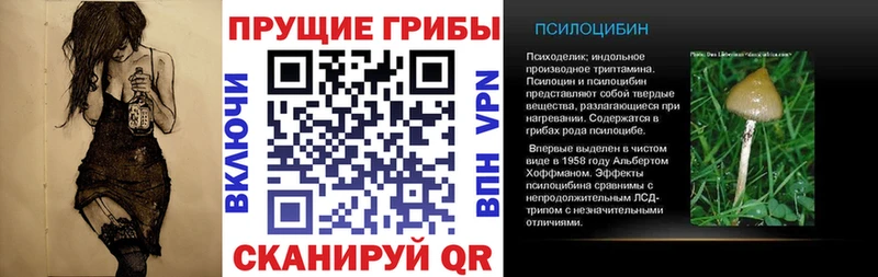 Псилоцибиновые грибы прущие грибы  как найти наркотики  Углегорск 